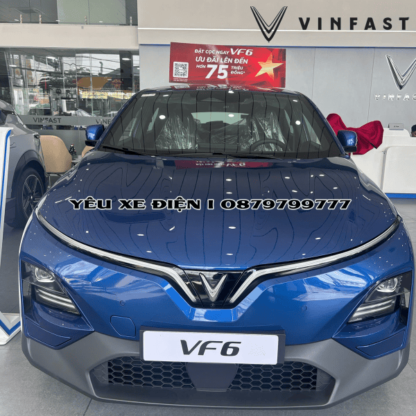 VINFAST VF6